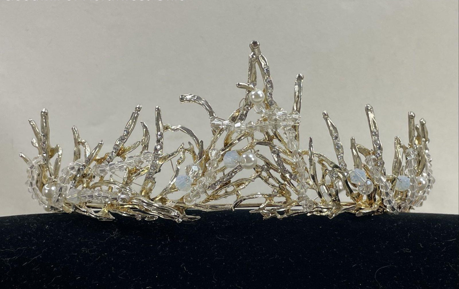 Silver Tone Woodland Fairy Tiara Faux Pearl & Crystal Branch Crown Fantasy Bridal Headpiece