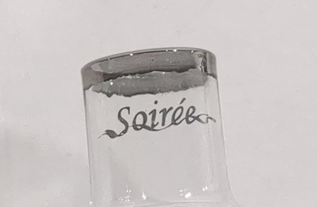 Soiree Luxury Sport Travel Wine Aerator with Protective Case