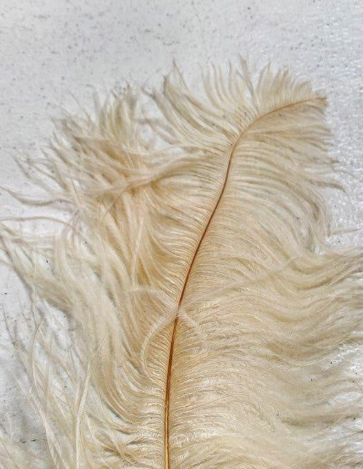 Vintage White Ostrich Style Feather Pen