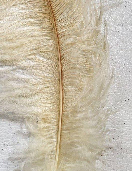 Vintage White Ostrich Style Feather Pen