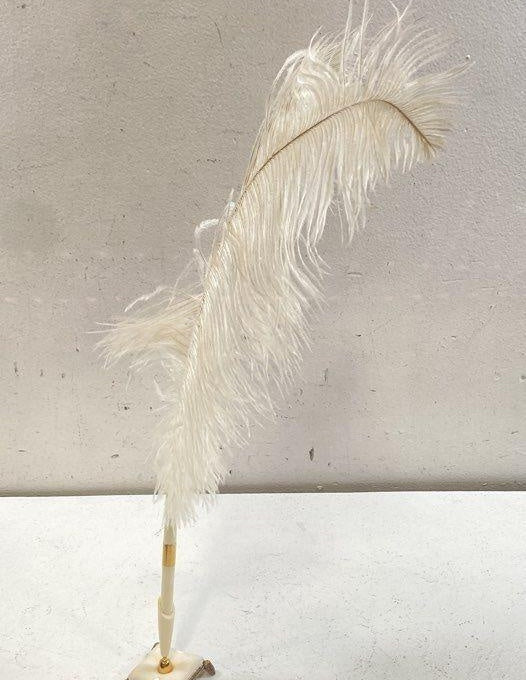 Vintage White Ostrich Style Feather Pen