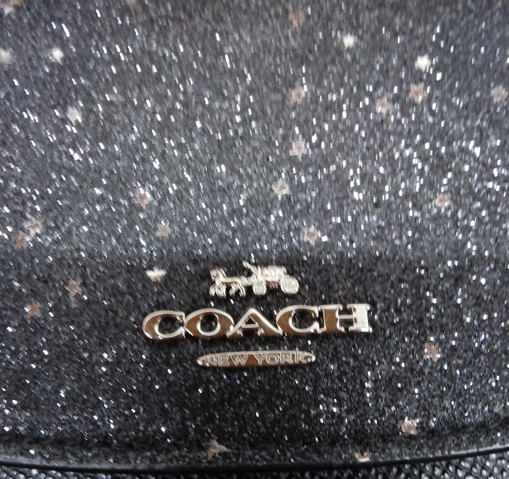 Coach Star Glitter Envelope Wallet with COA