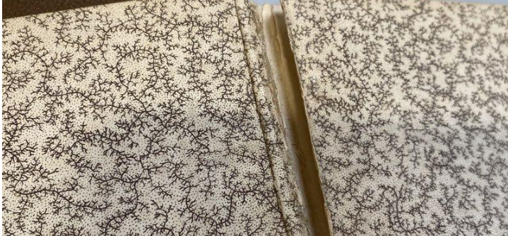 The Golden Treasury James Hunter 1887 Illustrated Antiquarian Subscription Volume I