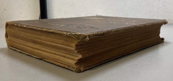The Golden Treasury James Hunter 1887 Illustrated Antiquarian Subscription Volume I
