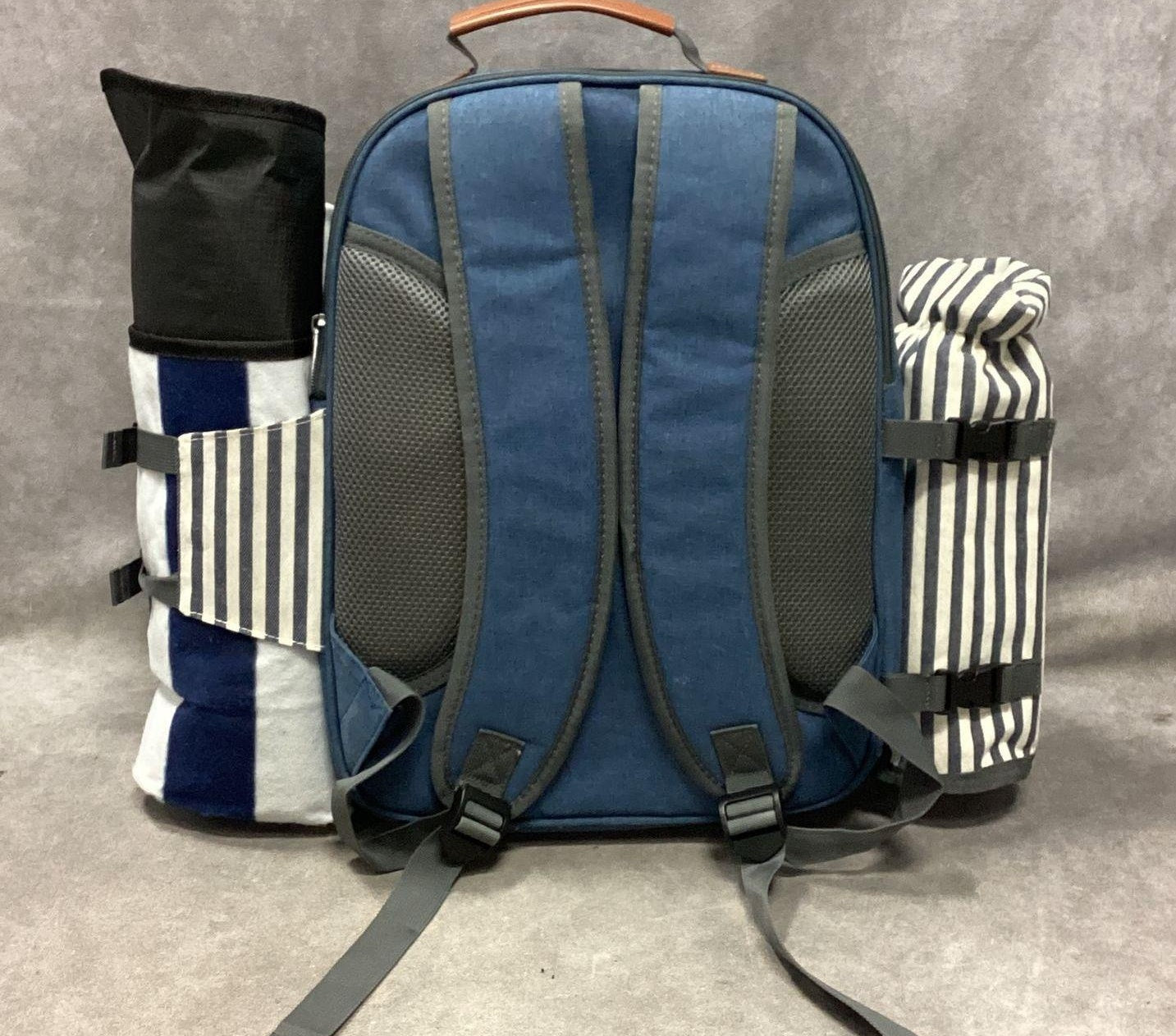 Sunflora Insulated All Season Blue Picnic Backpack for 4 Person