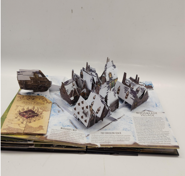Harry Potter A Pop-Up Guide to Hogwarts Deluxe Edition Slipcase Hardcover Reinhart