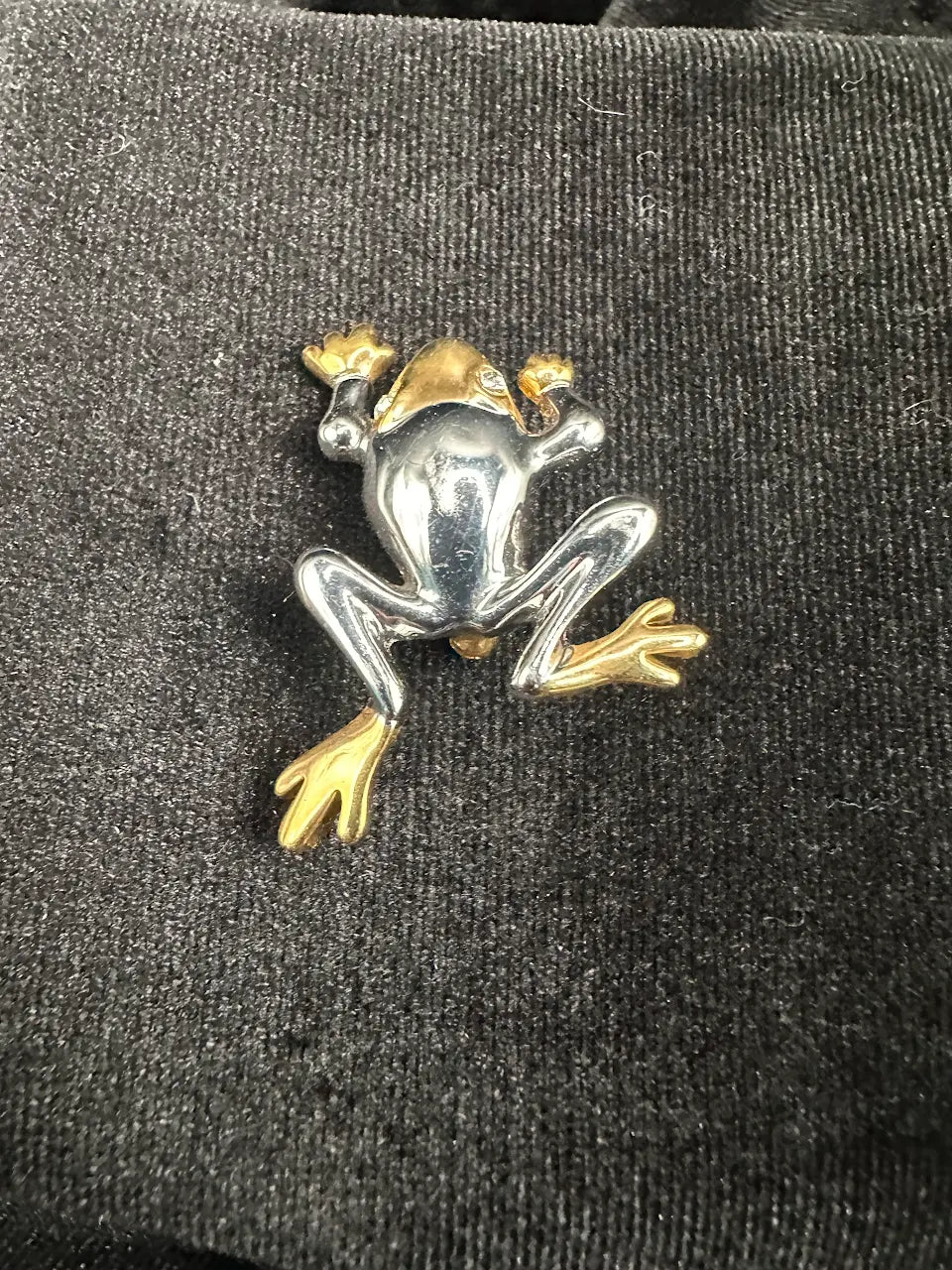 Two Tone Frog Brooch