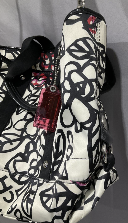 Coach Poppy Kyra Floral Satchel Bag Graphic Print Top Handle Crossbody Handbag