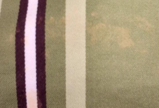 Kate Spade Green Striped Canvas Medium Tote Bag with Brown Leather Handles