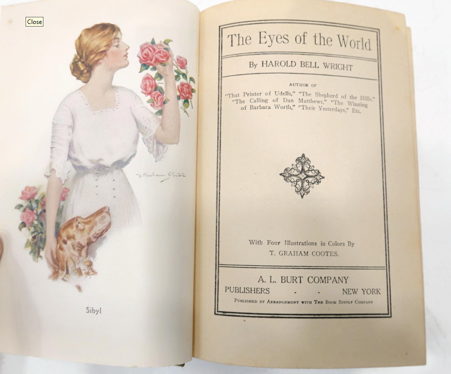 The Eyes of the World Harold Bell Wright 1914 A. L. Burt Illustrated Hardcover