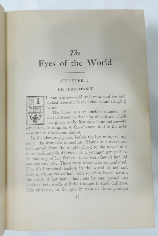 The Eyes of the World Harold Bell Wright 1914 A. L. Burt Illustrated Hardcover