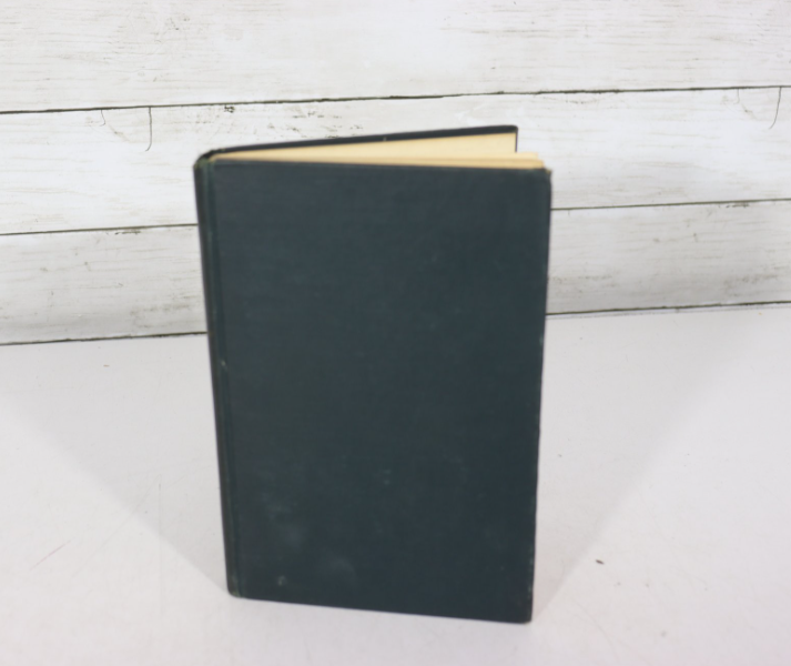 The Mountain Lion Jean Stafford First Edition Hardcover Classic American Literature No DJ