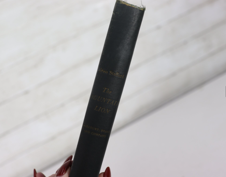 The Mountain Lion Jean Stafford First Edition Hardcover Classic American Literature No DJ