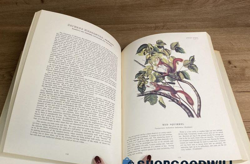 Imperial Collection of Audubon Animals | 1967 Hardcover with Dust Jacket