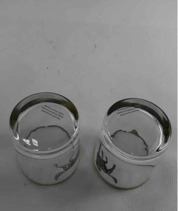 Pressed Glass Clear Sport Dog Whiskey Glasses Set 2 Gold Rim Hunting Dog 3.25"