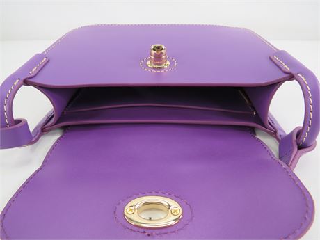 Dooney & Bourke Purple Leather Mini Crossbody Purse 5x8x3 (C5634)