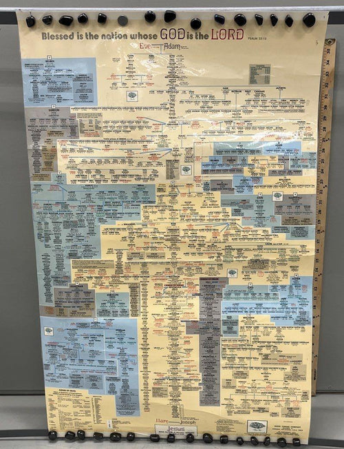 Vintage 1975 Adam and Eve Family Tree Poster Biblical Genealogy